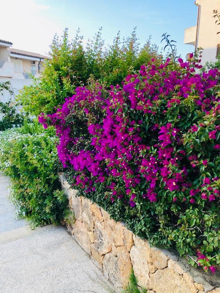 Lotus Wellness Apartment - Resort Ginestre - Palau - Sardinia Экстерьер фото